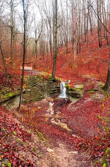 The waterfall in the Rautal forest at Burschenplatz in winter, Jena, Thuringia, Germany, Europe