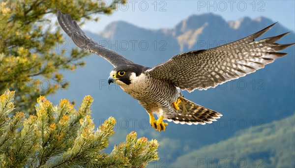 KI generated, animal, animals, bird, birds, biotope, habitat, one, individual, flying, flying, summer, peregrine falcon (Falco peregrinus) flight, blue sky