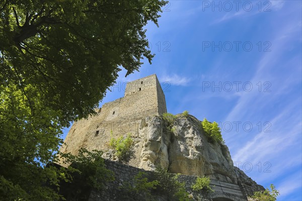 Ruin Reussenstein, ruin of a rock castle above Neidlingen, rock above the Neidlingen valley, ministerial castle of the Teck dominion, Neidlingen, Swabian Alb, Baden-Wuerttemberg, Germany, Europe