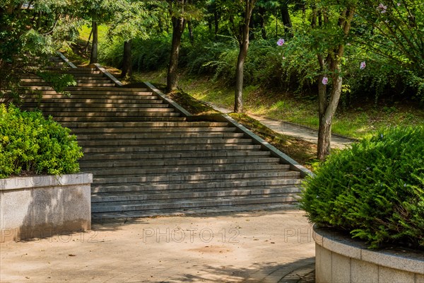 Concrete stairs next to disabled access pathway leading into woodland park on sunny afternoon in South Korea