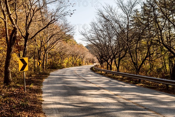 Landscape of rural mountain road lined with leafless trees in South Korea