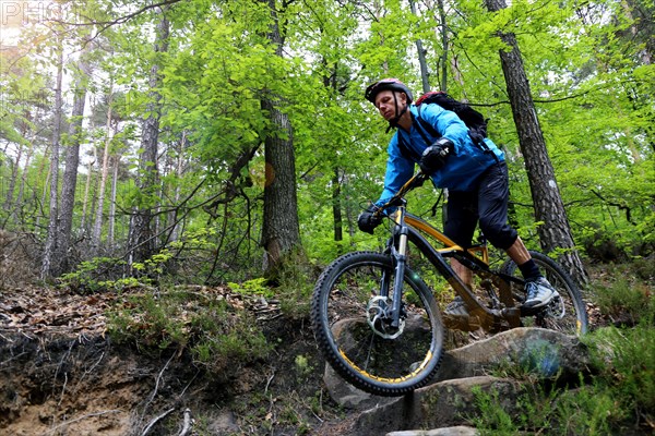 Mountain bikers on a difficult trail in the Palatinate Forest