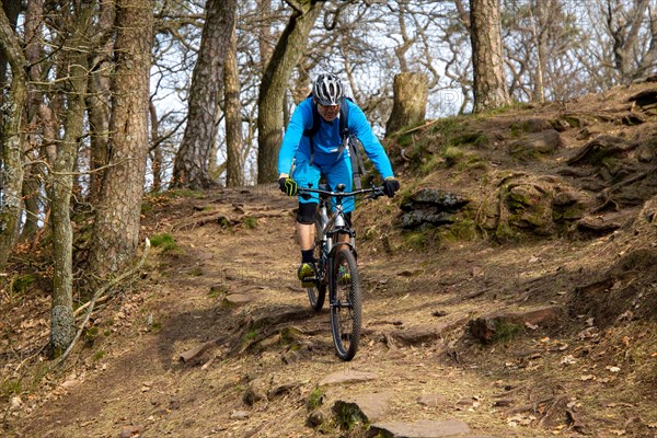 Palatinate Forest: Mountain bikers downhill in the forest