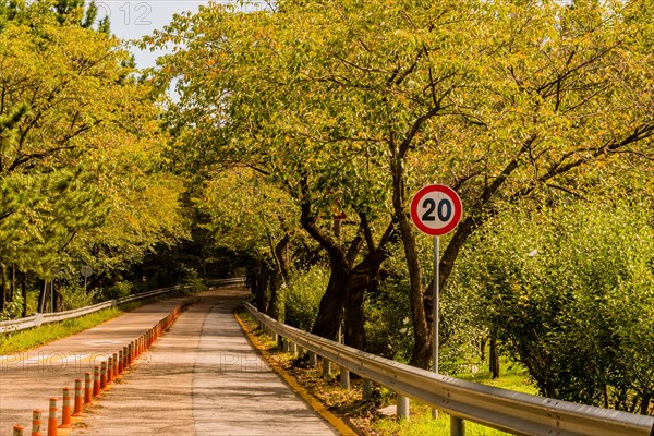 Two lane road running through wooded park with traffic bollards in center in South Korea