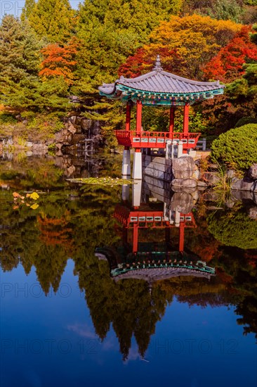 Beautiful oriental gazebo with terracotta tile roof at edge of man made pond with small waterfall in background in South Korea