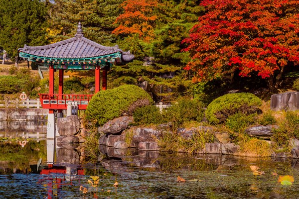 Oriental gazebo with terracotta tile roof at edge of man made pond with trees in beautiful fall colors in South Korea