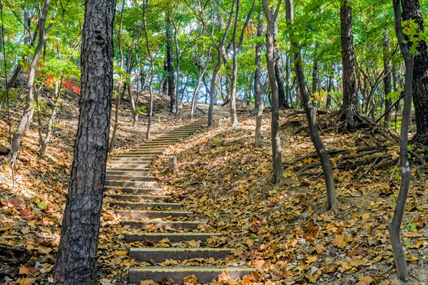 Stairs on side of mountain on sunny fall afternoon