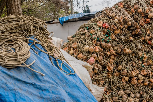 Closeup of large collection of fishing nets made of rope and seashells in South Korea