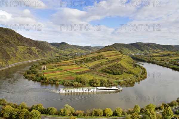 River cruise ship passes the Moselle bend near Bremm am Calmont, Moselle, Rhineland-Palatinate, Germany, Europe