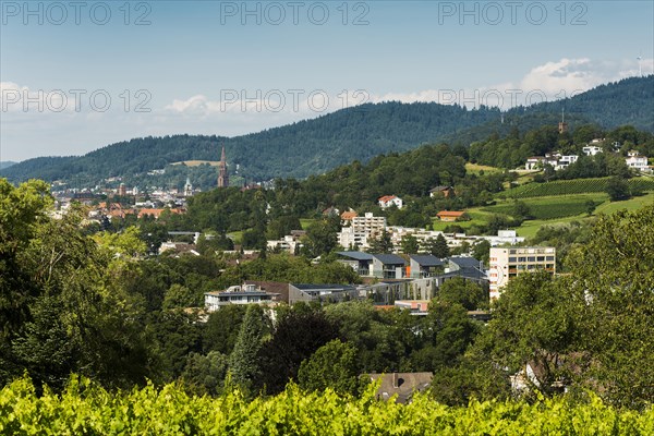 City view, in the foreground the Vauban neighbourhood, Freiburg im Breisgau, Black Forest, Baden-Wuerttemberg, Germany, Europe