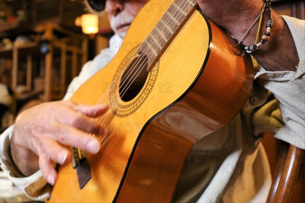 Guitar player, musician plays the guitar