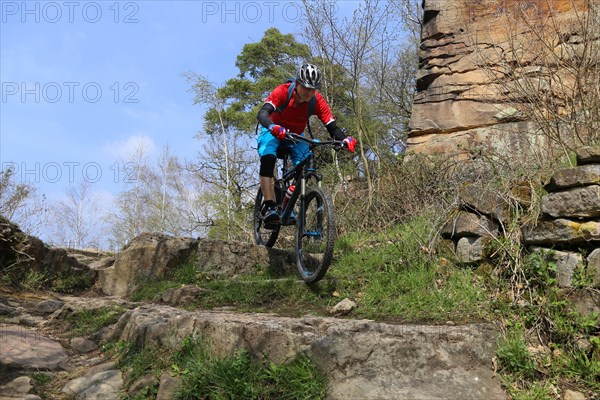 Mountain biker in difficult terrain in the Palatinate Forest near Wolfsburg