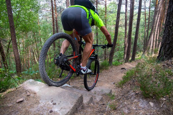 Mountain biker riding steps on a single trail near Weinbiet in the Palatinate Forest, Germany, Europe