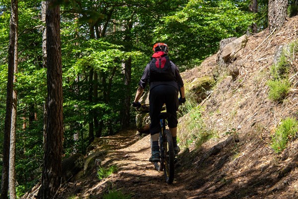 Mountain bikers on tour in the Pfaelzerwald mountain bike park near Dahn