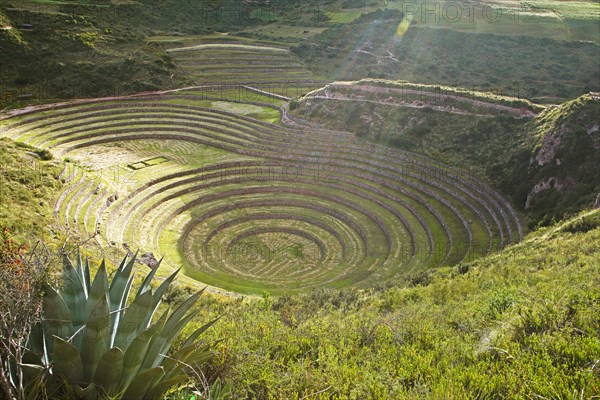 Terraces in the Inca complex Moray in Valle Sagrado, Maras, Cusco region, Peru, South America