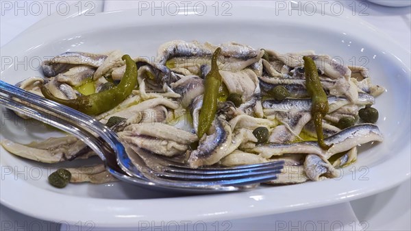 Dish with marinated fish fillets, capers and lemon on a white plate, Gythio, Mani, Peloponnese, Greece, Europe