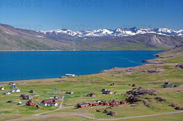 Houses are widely scattered in a meadow by a fjord in a barren landscape, Igaliku, North America, Greenland, Denmark, North America
