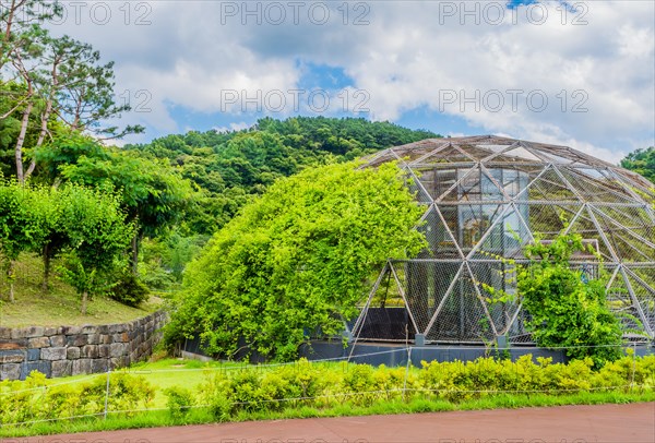 Green foliage growing on wire metal dome constructed over disabled access elevator under cloudy sky in South Korea