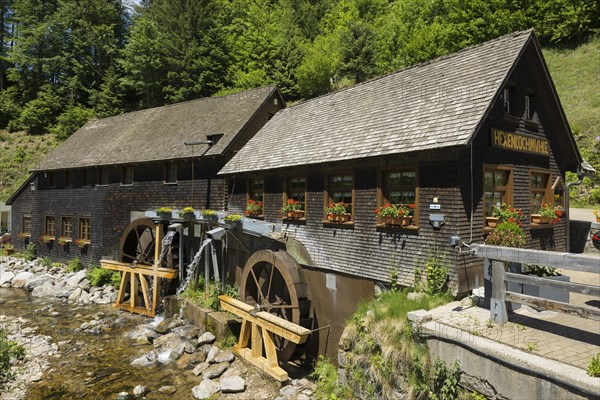 Hexenlochmuehle, near St Maergen, Black Forest, Baden-Wuerttemberg, Germany, Europe