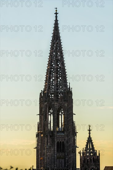 Tower of Freiburg Minster, sunset, Freiburg im Breisgau, Black Forest, Baden-Wuerttemberg, Germany, Europe