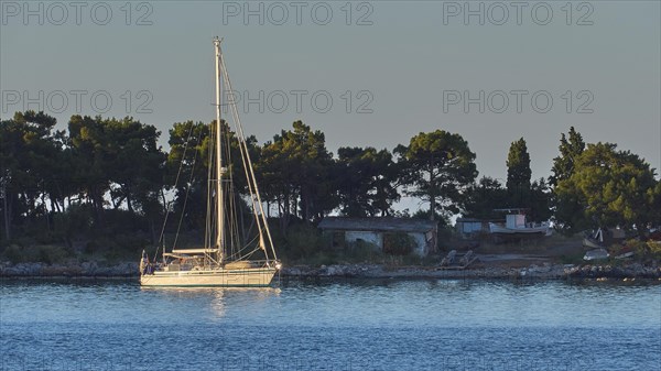 A sailing boat floats at dawn near the coast with trees, Gythio, Mani, Peloponnese, Greece, Europe