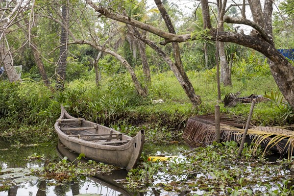Old abandoned rowing boat on the banks of a canal, enveloped by lush greenery, Kerala backwaters, India, Asia