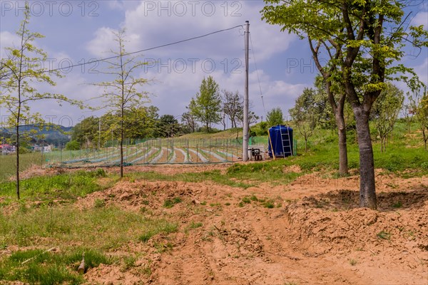 Blue water cistern beside freshly planted crop field in rural farmland