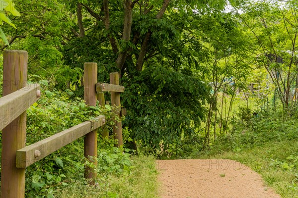 Wooden fence in wilderness park beside straw mat walkway in South Korea