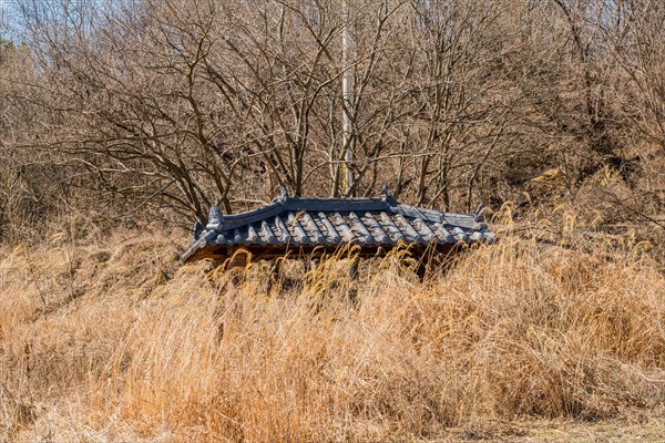 Tiled roof of small picnic pavilion visible above tall winter grass in wilderness park