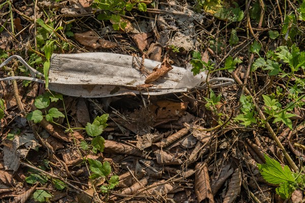 White medical face mask laying on ground covered with twigs and tree bark