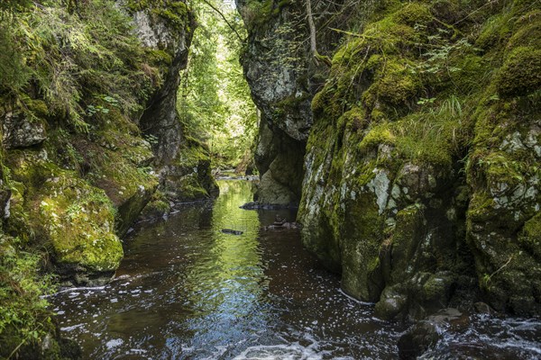 Haslachschlucht, Wutachschlucht, near Lenzkirch, Black Forest, Baden-Wuerttemberg, Germany, Europe