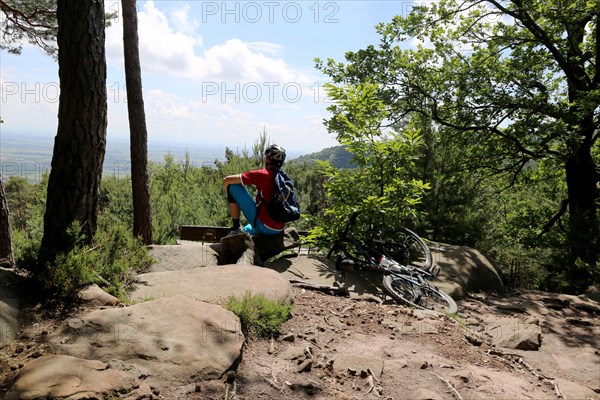 Mountain biker enjoys the view of the Rhine plain above Neustadt an der Weinstrasse