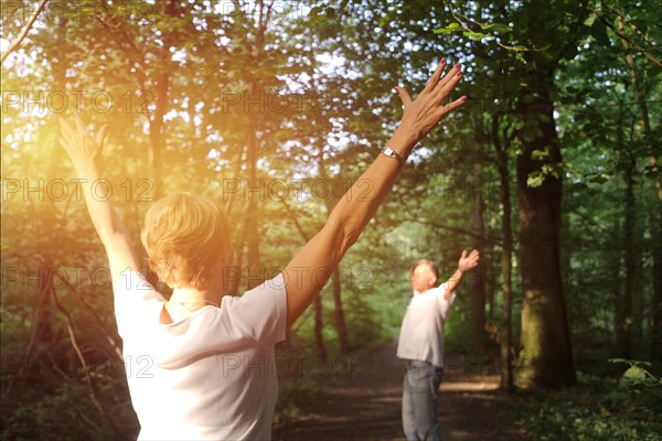 Group forest bathing (Shinrin Yoku), nature therapy from Japan