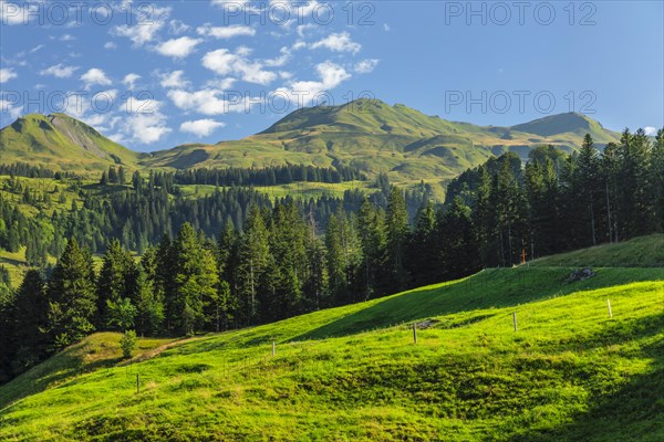 View of the Klingenstock, Fronalpstock chain, Schwyz, Switzerland, Fronalpstock, Lake Lucerne, Schwyz, Switzerland, Europe