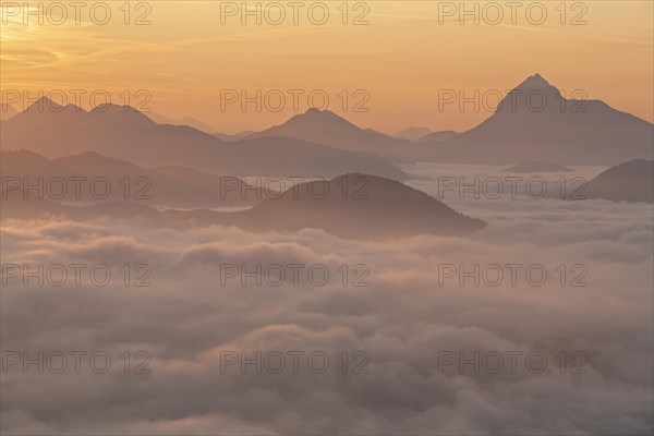 Mountain peak above clouds at sunrise, backlight, haze, summer, view from Jochberg to Guffert, Bavarian Alps, Upper Bavaria, Bavaria, Germany, Europe