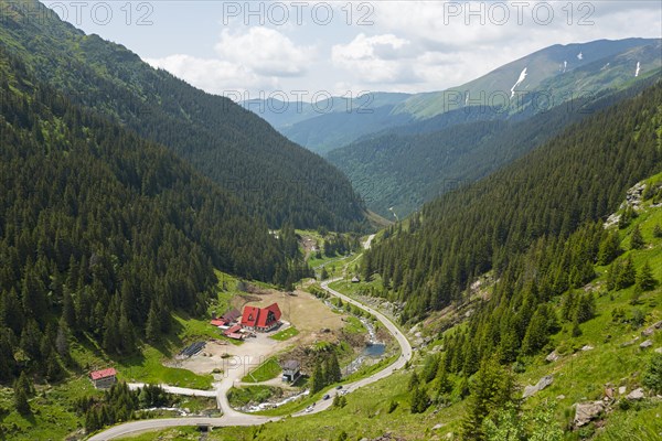 A green mountain valley with a river and a road, surrounded by dense forests, mountain road, Capra River, Transfogarasan High Road, Transfagarasan, TransfagaraÈ™an, FagaraÈ™ Mountains, Fagaras, Transylvania, Transylvania, Transylvania, Ardeal, Transilvania, Carpathians, Romania, Europe