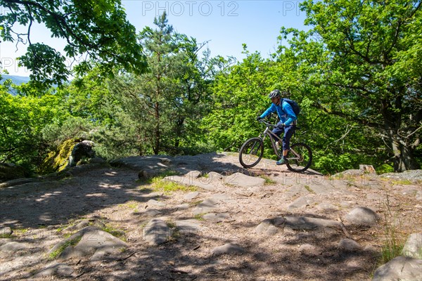 Mountain bikers at the Heidenfels natural monument in the central Palatinate Forest