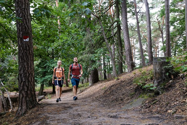 Symbolic image: Young couple hiking in the Palatinate Forest, here on the fifth stage of the Palatinate Wine Trail between Neustadt an der Weinstrasse and St. Martin