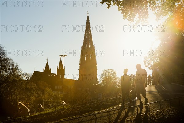 City garden with Karlssteg and Freiburg Minster, sunset, Freiburg im Breisgau, Black Forest, Baden-Wuerttemberg, Germany, Europe