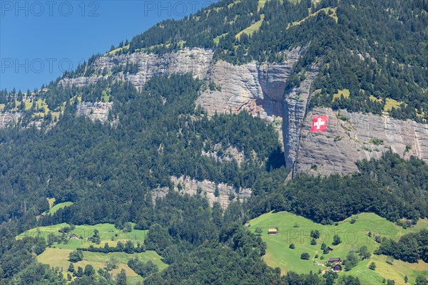 The Rigi near Vitznau, Lake Lucerne, Canton of Lucerne, Switzerland, Vitznau, Lake Lucerne, Lucerne, Switzerland, Europe