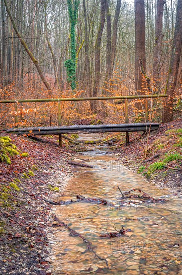 Small old wooden bridge over a stream in the Rautal valley in the forest, Jena, Thuringia, Germany, Europe