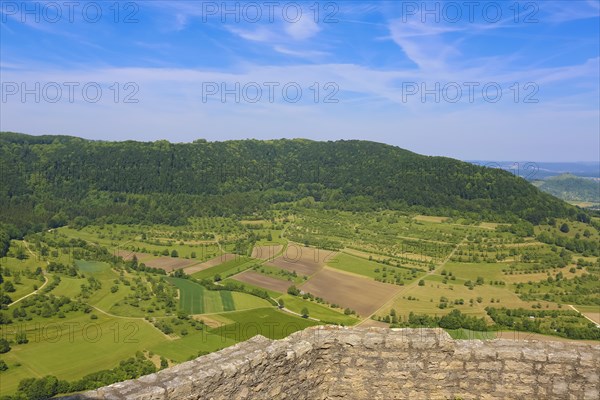 Ruin Reussenstein, ruin of a rock castle above Neidlingen, rock above the Neidlingen valley, ministerial castle of the Teck dominion, view of the Neidlingen valley, view, landscape, nature, mountains, meadows, bushes, trees, Albtrauf, Neidlingen, Swabian Alb, Baden-Wuerttemberg, Germany, Europe