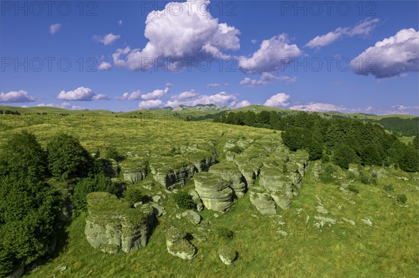 Group of beauty rock karst formations on Lessinia Plateau Regional Natural Park (Altopiano della Lessinia), Erbezzo, municipality Provincia di Verona Italy, southern Europe