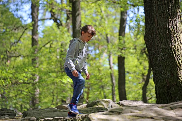 Boy climbing on the sea of rocks below the Kalmit in the Palatinate Forest