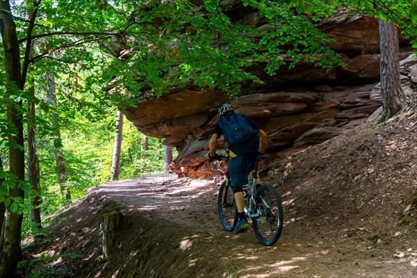 Mountain bikers on tour in the Dahner Felsenland . The many red sandstone rock formations characterise this region