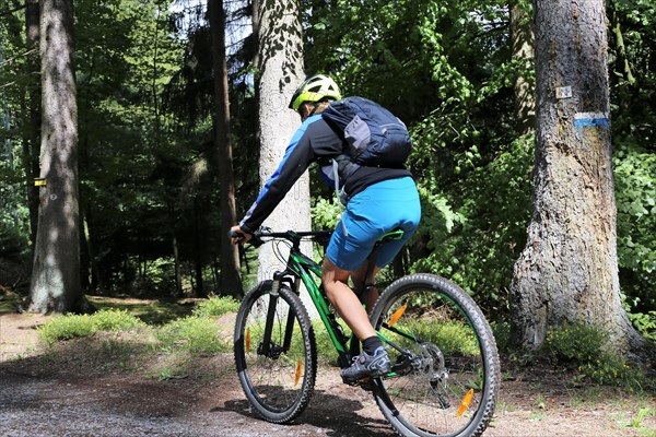 Beginner on a mountain bike course