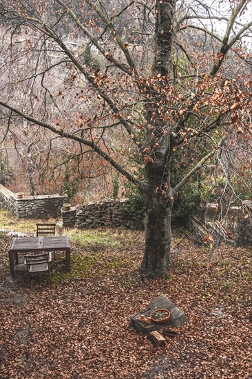 Garden in the medieval town of Rupit in Catalonia Spain