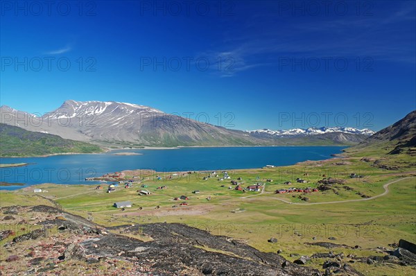 Houses are widely scattered in a meadow by a fjord in a barren landscape, narrow track, Igaliku, North America, Greenland, Denmark, North America