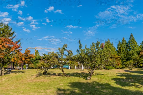 Landscape of beautiful park like setting under blue sky with construction cane over treetops in background in South Korea