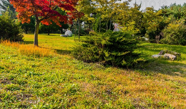 Giant millstone on green lawn surrounded by trees in public park in South Korea